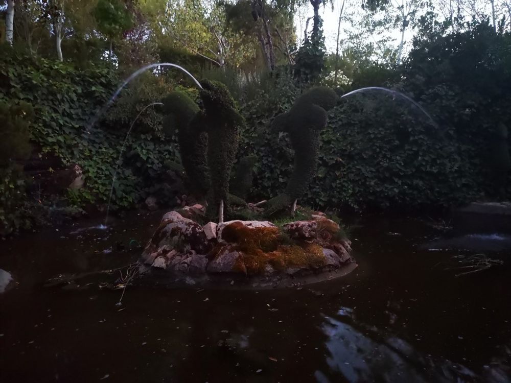 Foto de El Bosque Encantado
