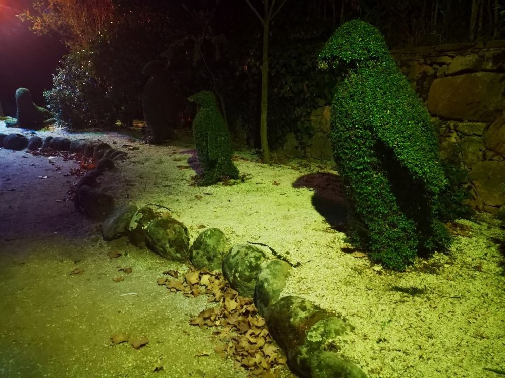 Foto de El Bosque Encantado