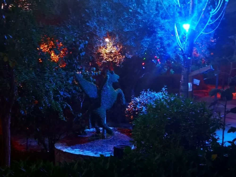 Foto de El Bosque Encantado
