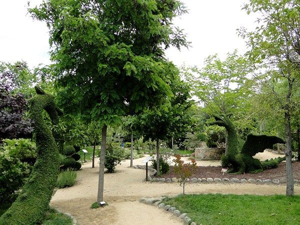 Foto de El Bosque Encantado