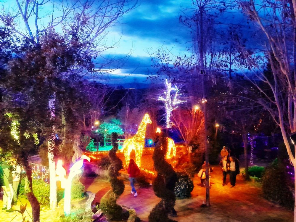 Foto de El Bosque Encantado