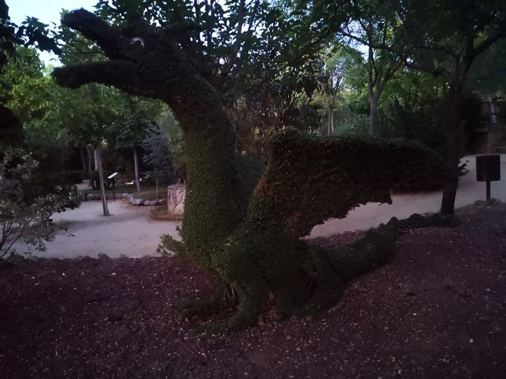 Foto de El Bosque Encantado