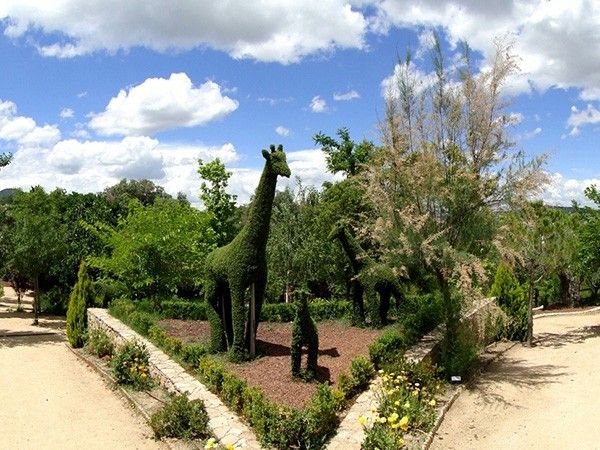 Foto de El Bosque Encantado