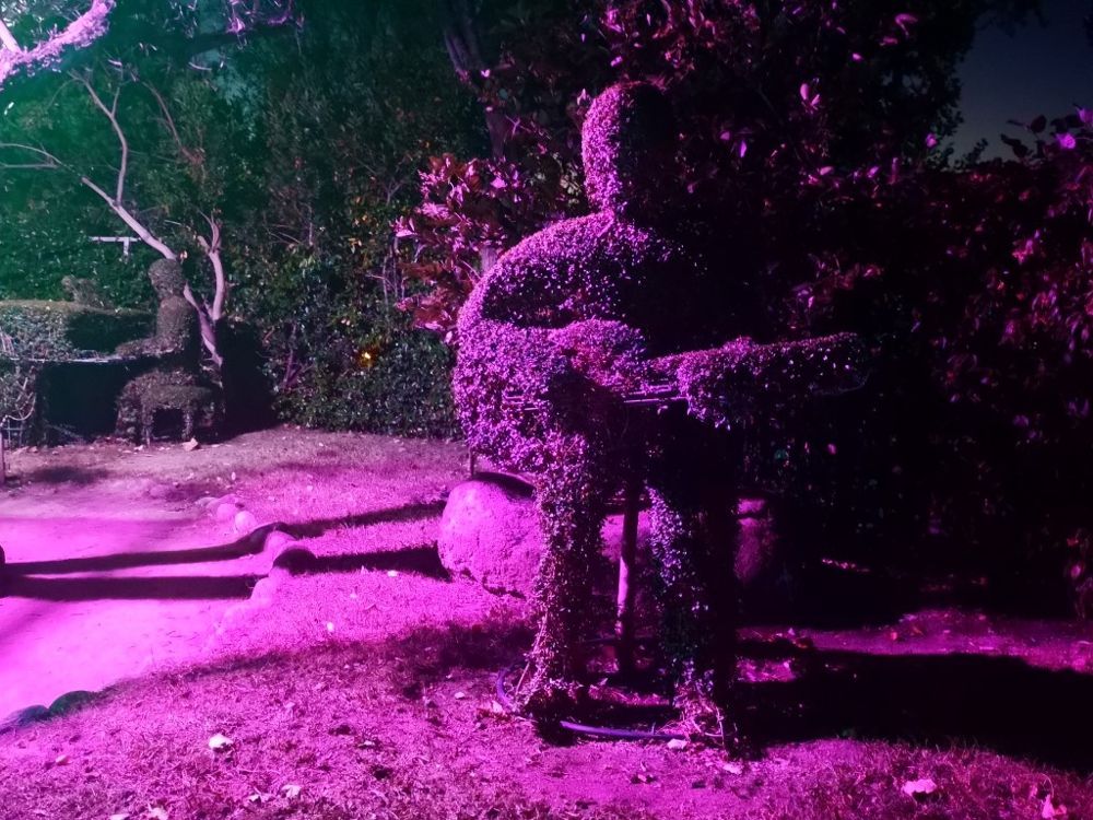 Foto de El Bosque Encantado