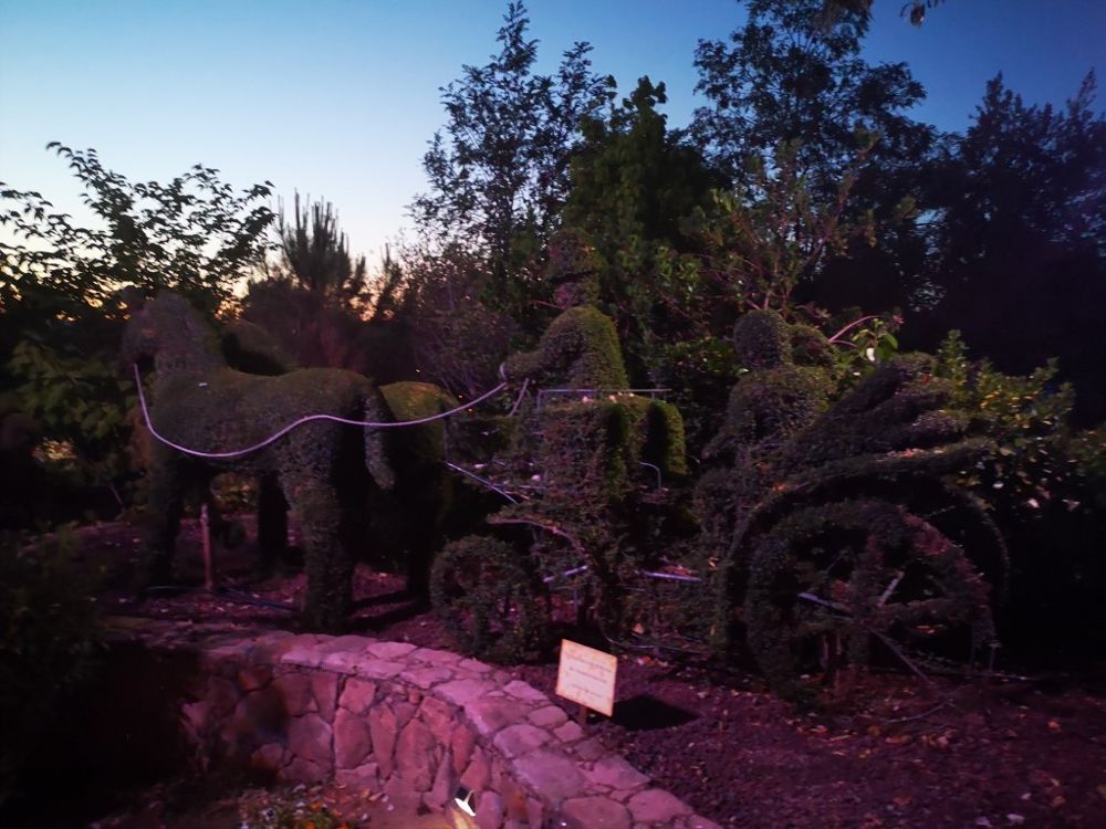Foto de El Bosque Encantado