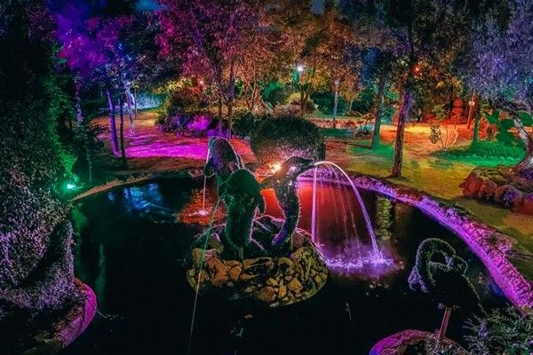 Foto de El Bosque Encantado