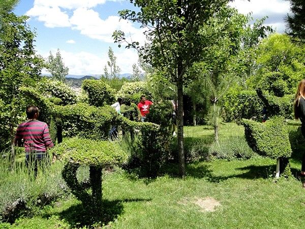 Foto de El Bosque Encantado