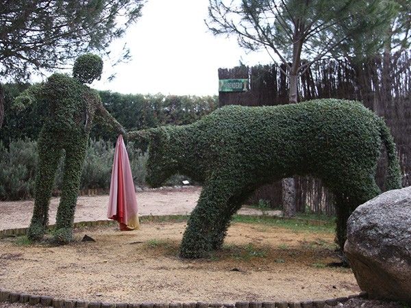 Foto de El Bosque Encantado