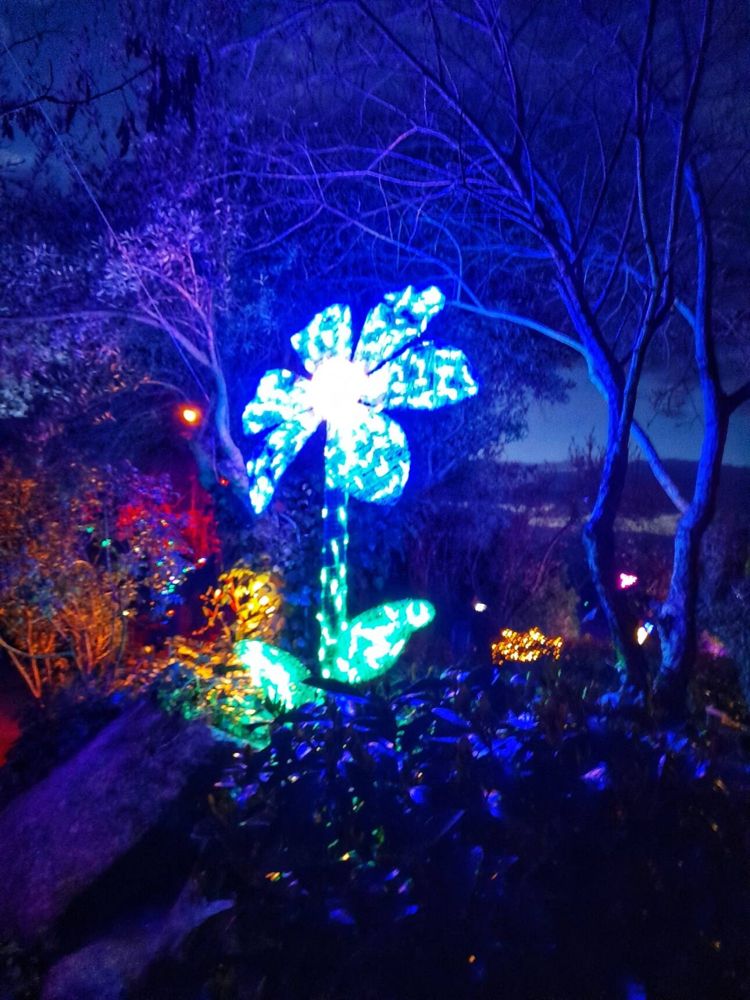 Foto de El Bosque Encantado