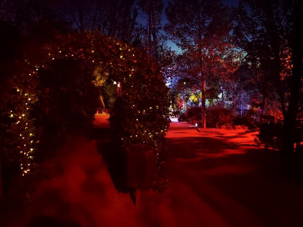 Foto de El Bosque Encantado