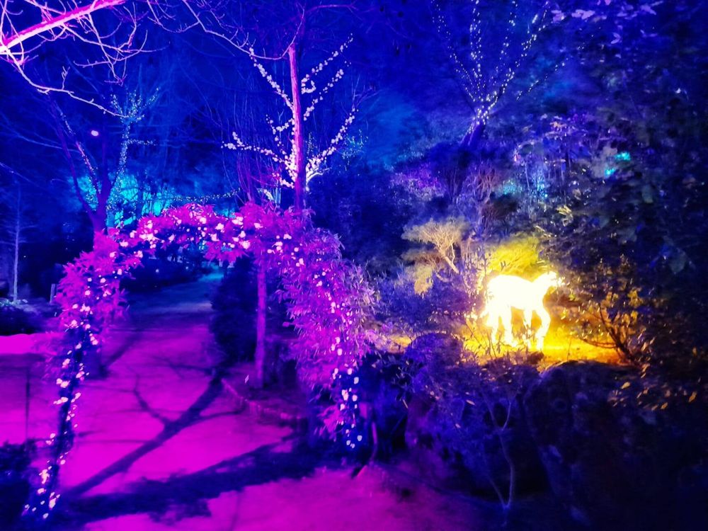 Foto de El Bosque Encantado