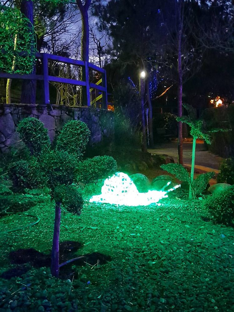 Foto de El Bosque Encantado