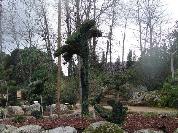 Foto de El Bosque Encantado